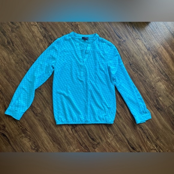 The Limited Sky Blue Sheer Blouse - Picture 1 of 3